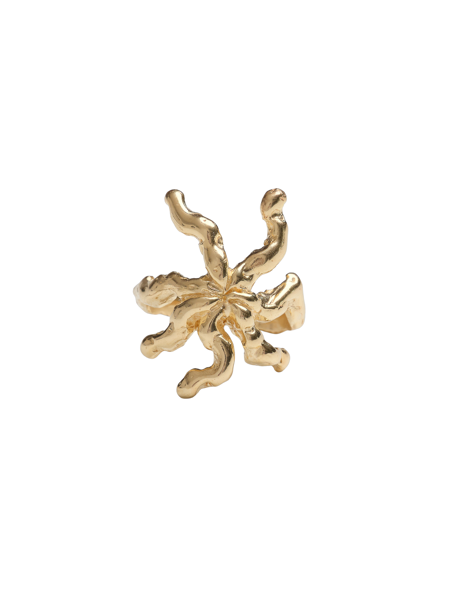 ALIMATA