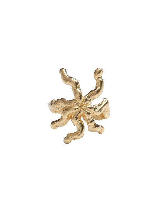 ALIMATA